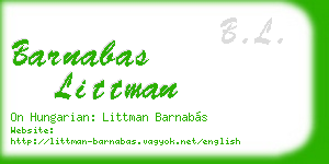 barnabas littman business card
